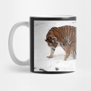 Tiger and cub Mug